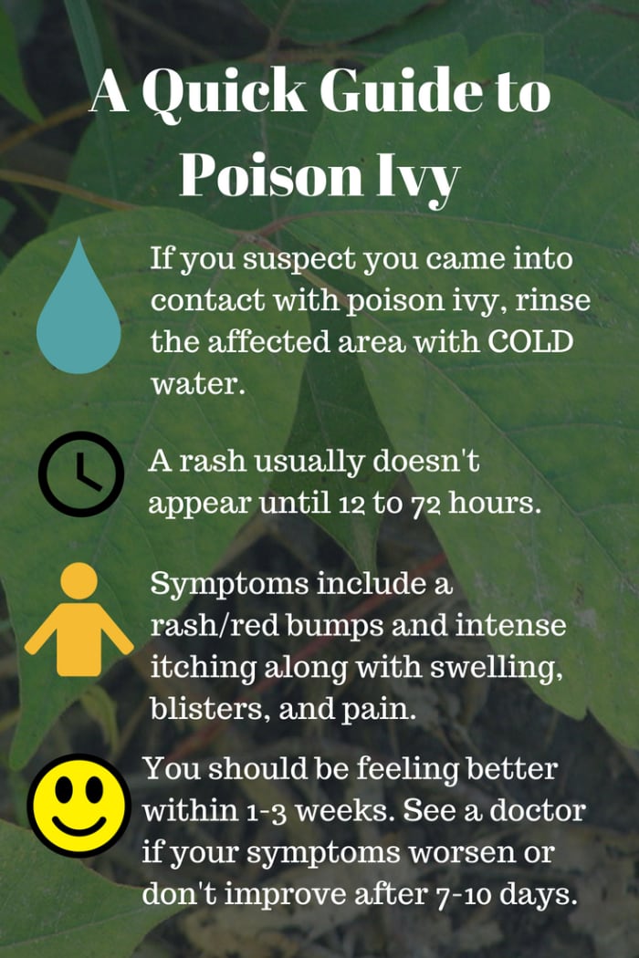 A Natural and Fast Poison Ivy Cure RemedyGrove