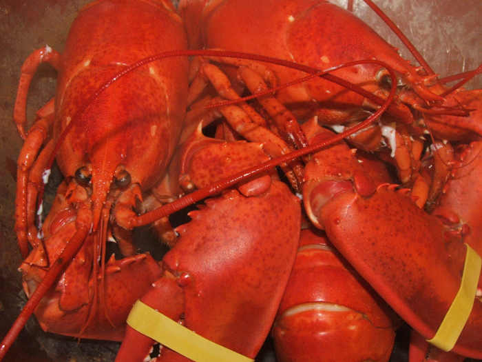 Seafood allergy is not an iodine allergy.