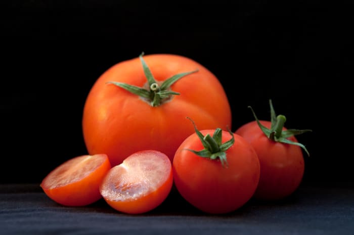 Unlike green tomatoes, ripe tomatoes contain fewer alkaloids and are usually considered non-toxic for most people.