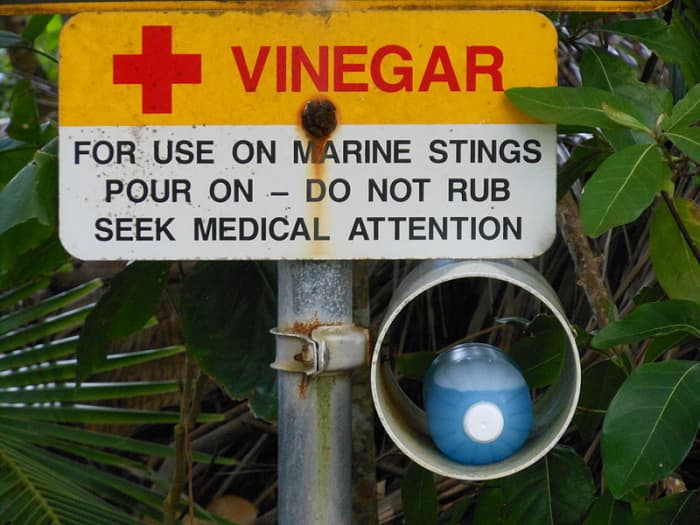 Used in Australia for any kind of jellyfish sting or other marine animal sting.