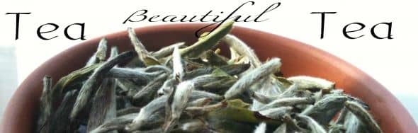 Scientifically demonstrated effects of aspirin and green tea: benefits, cautions, blood-thinning properties.