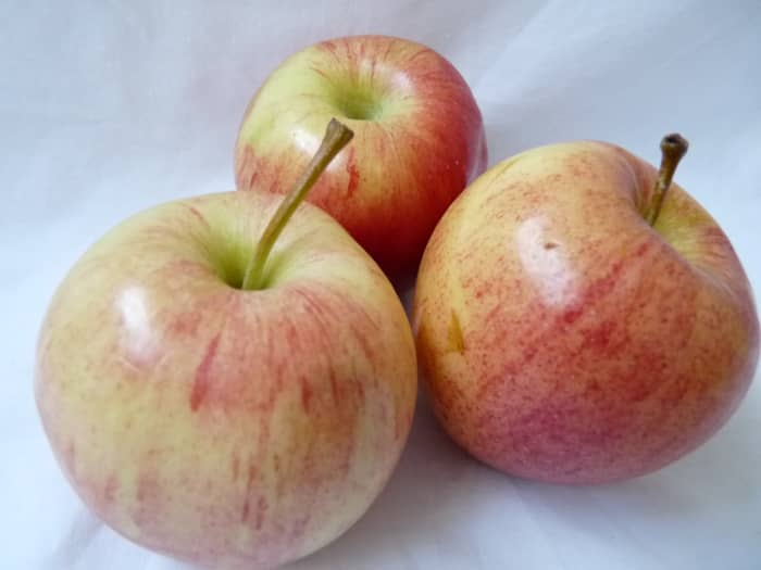 Opt for healthy foods like fruits and vegetables when recovering from a cold or flu to get better quickly.