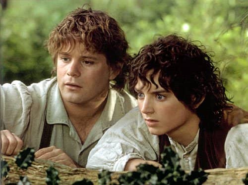 Sam and Frodo are close friends who are brought even closer together by their epic journey to destroy the One Ring.