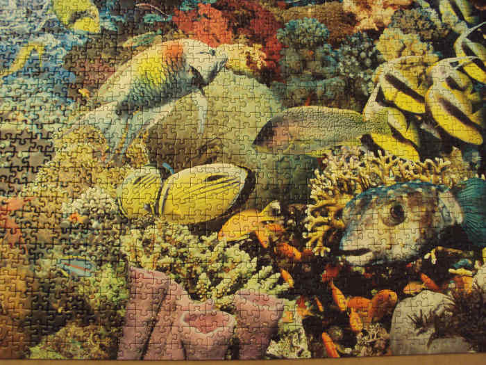 How to Build a 5000Piece Ravensburger Jigsaw Puzzle HobbyLark