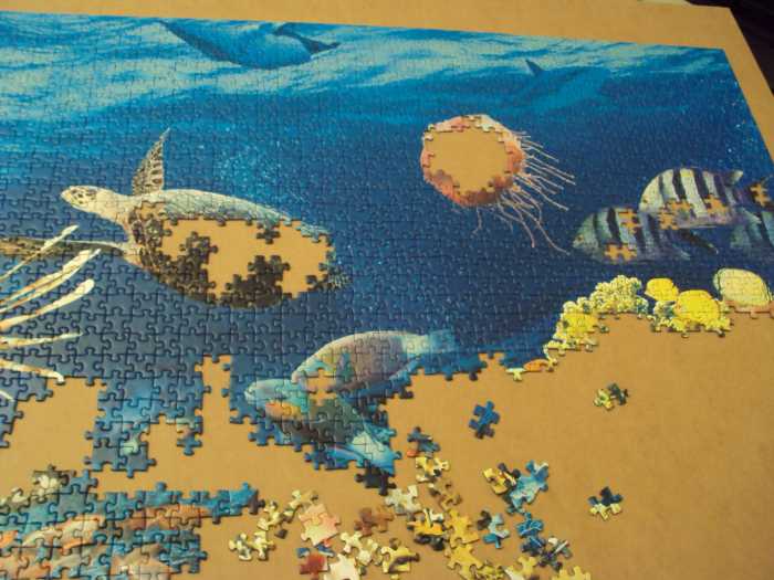 How to Build a 5000Piece Ravensburger Jigsaw Puzzle HobbyLark