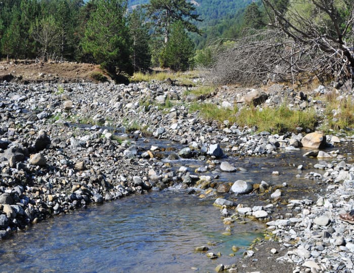 A promising stream for panning