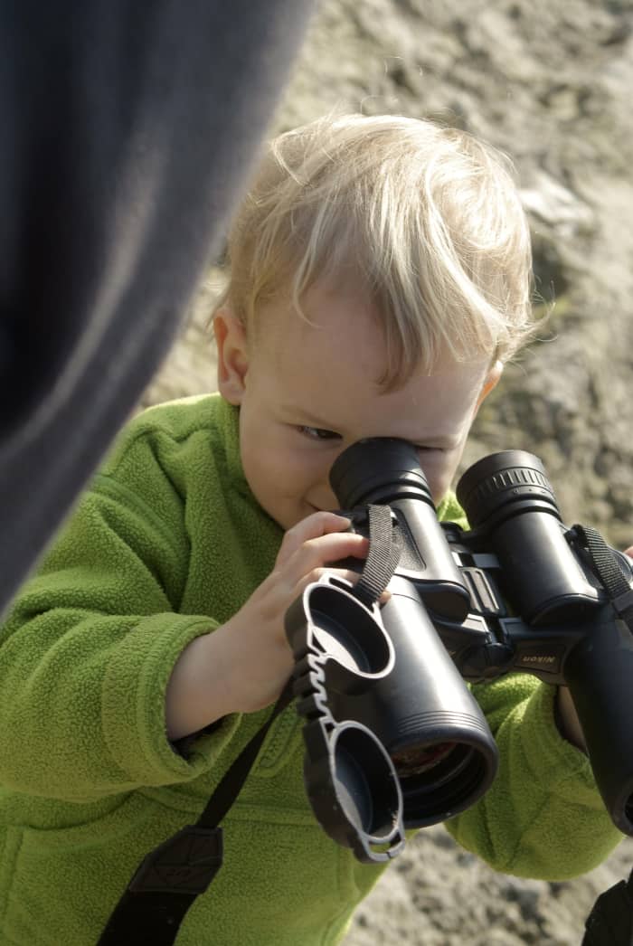 Making observations with different senses can be helpful.