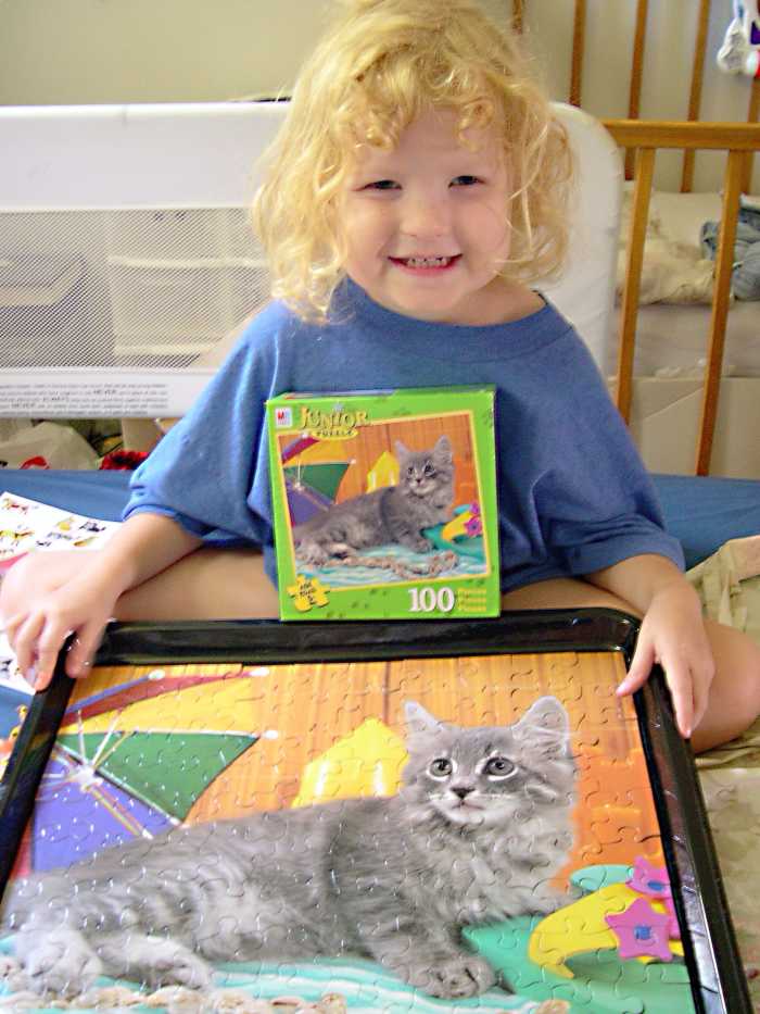 Jigsaw Puzzles History, Types, and Potential Benefits HobbyLark