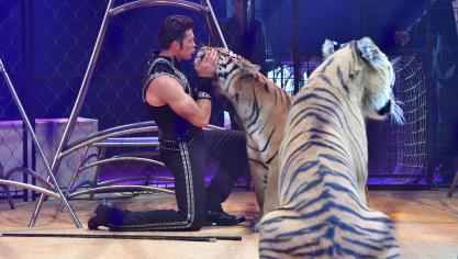 Alexander Lacey gets his Bella kisses. Lille Circus Festival; Lille. France