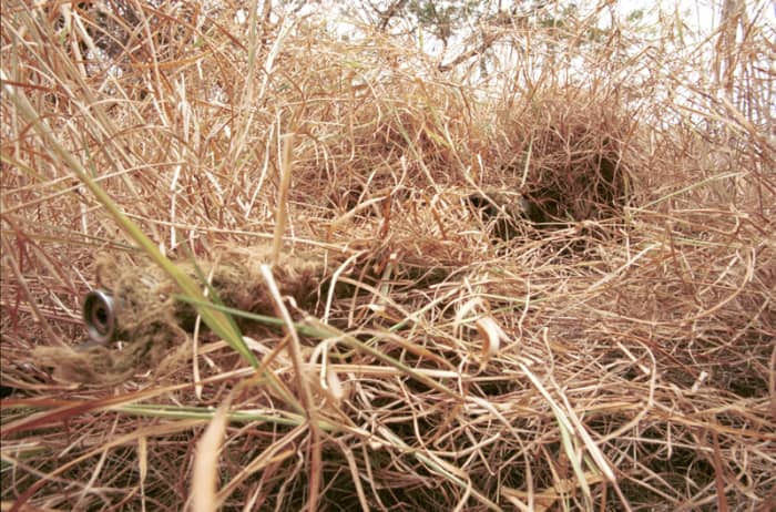 This picture is obviously of a sniper, but he has used good fieldcraft to keep himself hidden. Birders should look to use similar techniques in order to remain hidden from the bird they are watching.