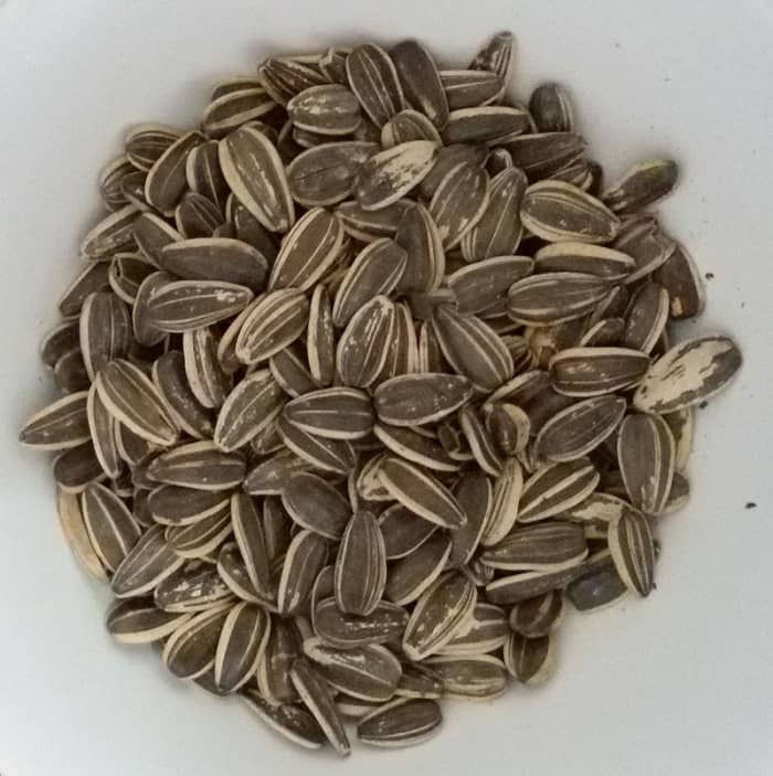 Black Sunflower seeds are a particular favourite of Finches and other small passerines including Sparrows and Tits.