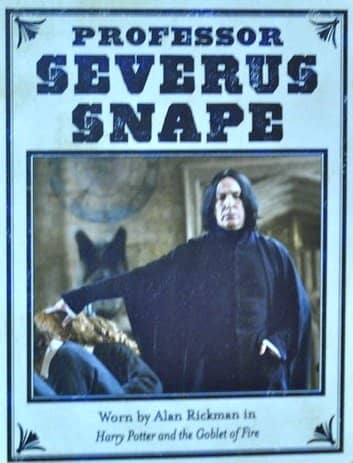 Severus Snape was eventually featured in the Daily Prophet when he was given the position of headmaster at Hogwarts.