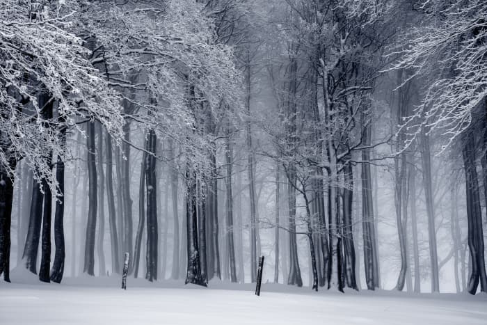 Winter is not everybody favorite season. However, there are fun things to do at home while you're trying to avoid the cold weather.
