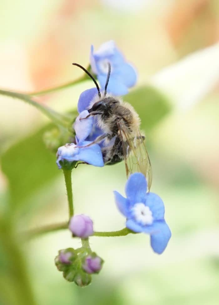 With a macro lens, you'll need adequate depth of field to keep insects in focus. You'll need lots of light and a larger F setting.