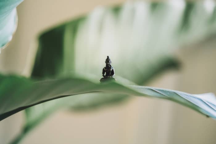 Simplicity and present moment focus is the most natural remedy for silencing the worries of the mind.
