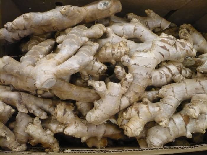 Gingerroot is an excellent natural pain reliever. Chewing on a piece might make your mouth on fire, but your back will thank you for it.