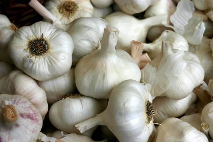 Garlic contains infection fighting properties and is effective against earaches.
