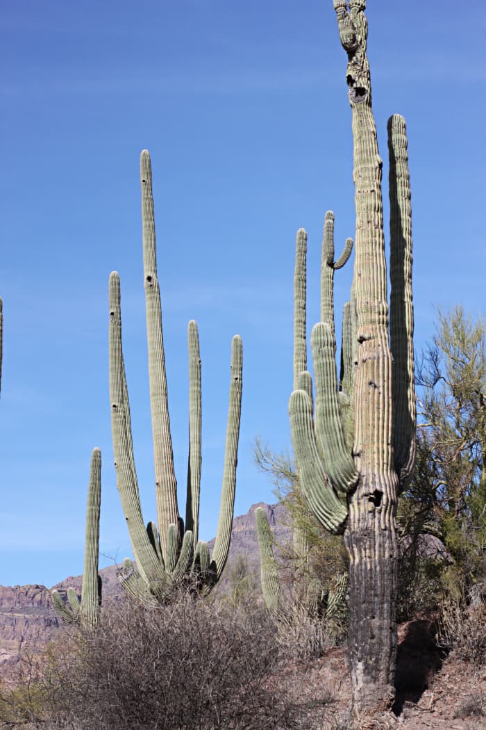It's not really scary in the desert, but be prepared for any scenario and you can enjoy hiking Arizona without worry.