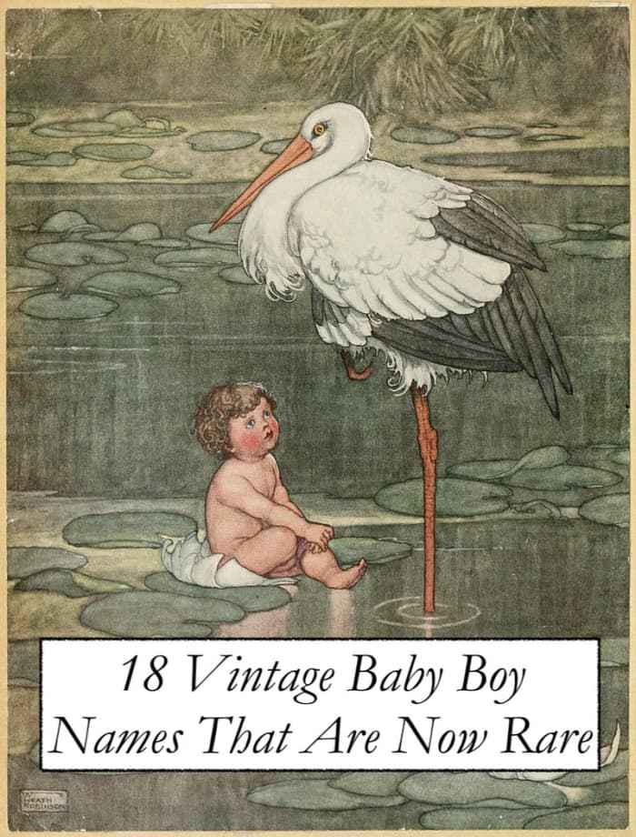 At one time, these baby names were in the top 100.