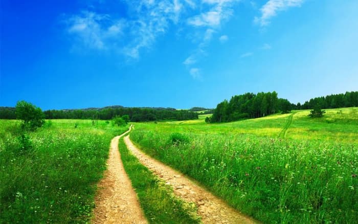 What is the meaning of Hazel's pre-race country daydream?