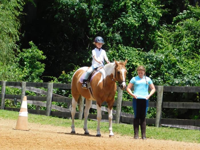 Our farm shows normally go from leadline classes all the way to walk, trot, canter, and jumping.
