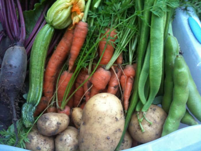 Vegetables are a verstile ingredient that can be prepared and eaten in many ways.