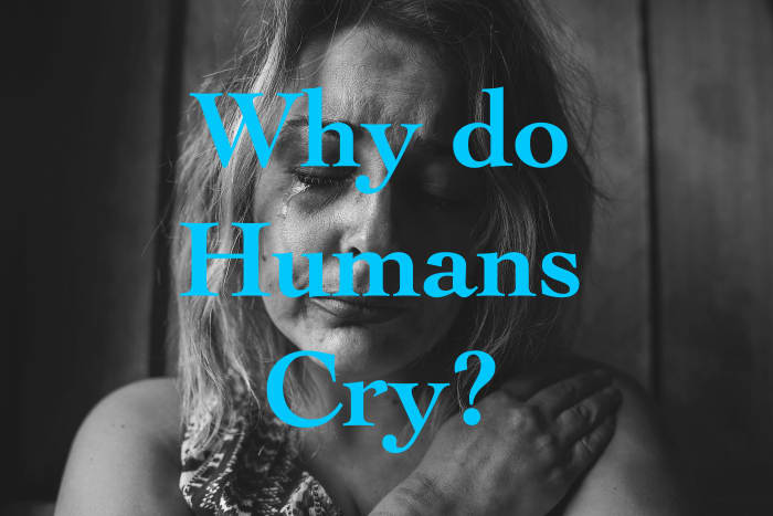 Why Do Humans Cry Owlcation 1038