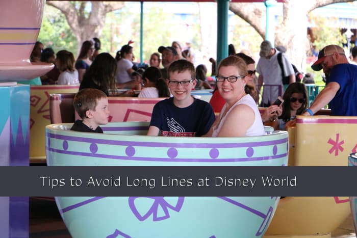 Preparation is crucial to avoiding long waits at Disney World. We used the extra magic hours to experience the rides before the park was open to the general public.