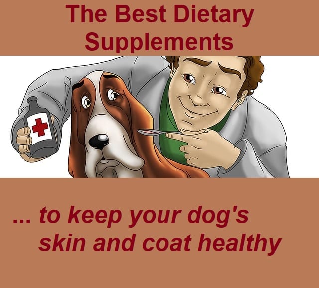 A healthy, balanced diet, water, and plenty of exercise are normally enough to keep your dog's skin and coat in peak condition. However, in some circumstances he may need an extra boost in the form of dietary supplements. Always ask a vet for advice