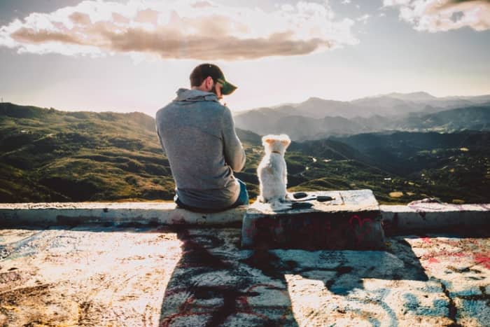Feeling stressed? Are you, by chance, a dog owner? If so, your infinite source of Zen is probably already sitting next to you.