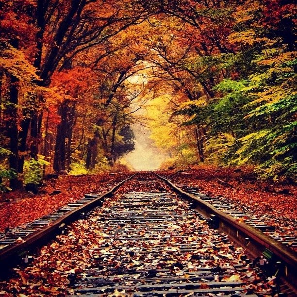 Autumn Breeze, Falling Leaves - LetterPile