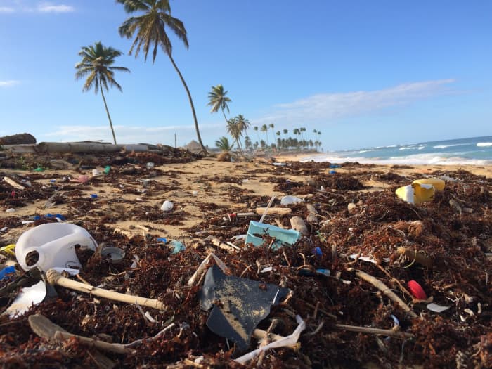 Straws get blown out of trash cans, vehicles, and the vessels that transport our litter to the dump.