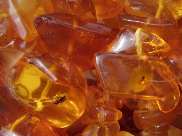 Amber is formed from tree resin that dripped from trees 50 million years ago. Oftentimes, you will also find fossilized insects trapped inside.