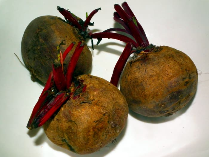 Beets are one vegetable to include in your diet to prevent bladder infections