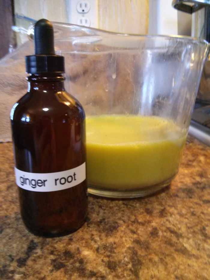 Dandelion Chai Tea, Ginger Root Juice, and a Remedy for Cold and Flu