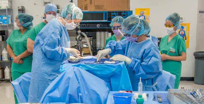 While there's no question about repairing a broken hip in a healthy patient, questions regarding goals of care need to be asked in an elderly patient with complex medical conditions and a poor prognosis.