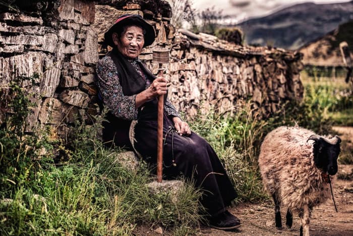 Shepherds are great as people who love to live lives all by themselves.