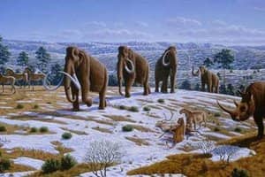 The Pleistocene epoch 11,700 years ago saw great land mammals and the expansion and evolution of Homo sapiens