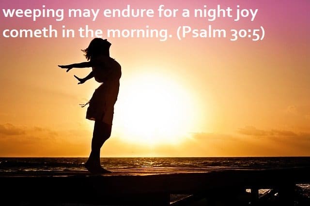 16 Bible Verses About Joy and Happiness for a Joyful Heart  LetterPile