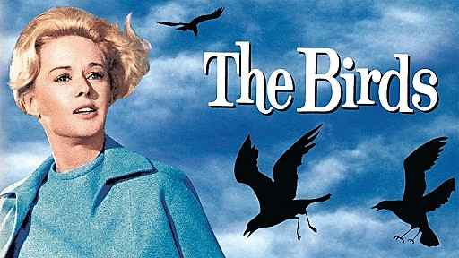 'The Birds' (1963) review. Is it worth watching?