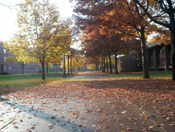 My inspiration for this poem was drawn from walking this campus during 2010 when I was deciding which college I was to attend the following year.