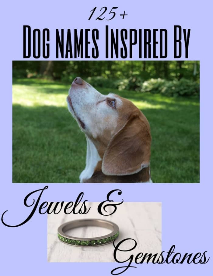 The ultimate list of over 125 dog names inspired by jewels and gemstones. Included are ideas based on precious and semiprecious stones, colors, jewelry, and even birthstones. If bling is your thing, then your new pup deserves a gem of a name.