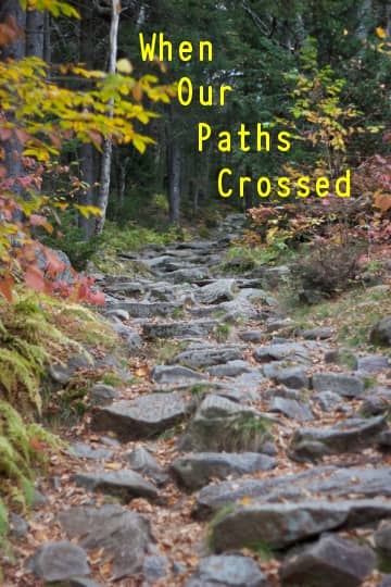 poem-when-our-paths-crossed-letterpile