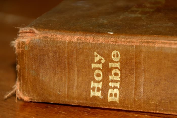 The Bible has many verses about compassion and love.