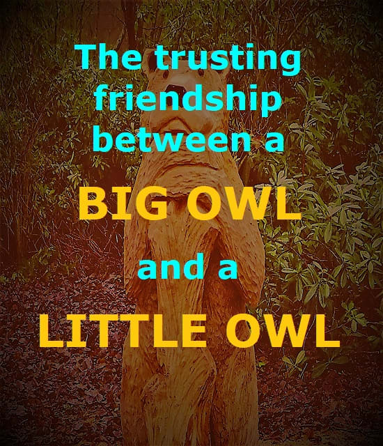 Little Owl - A Friendship Poem - LetterPile