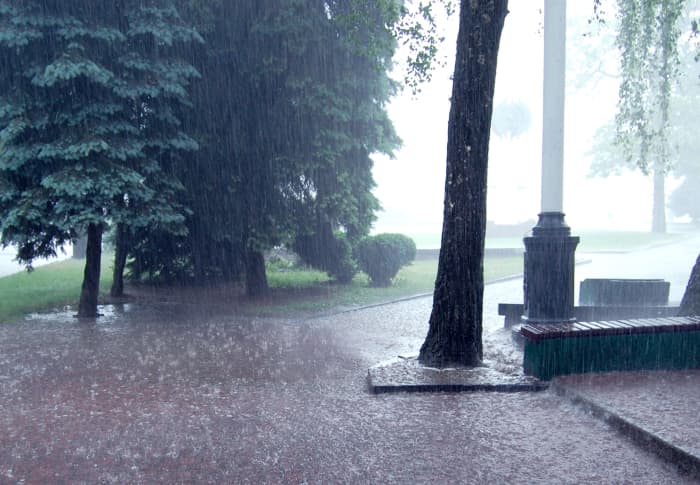 Rain is a life-giver. No wonder so many composers have been inspired by it.