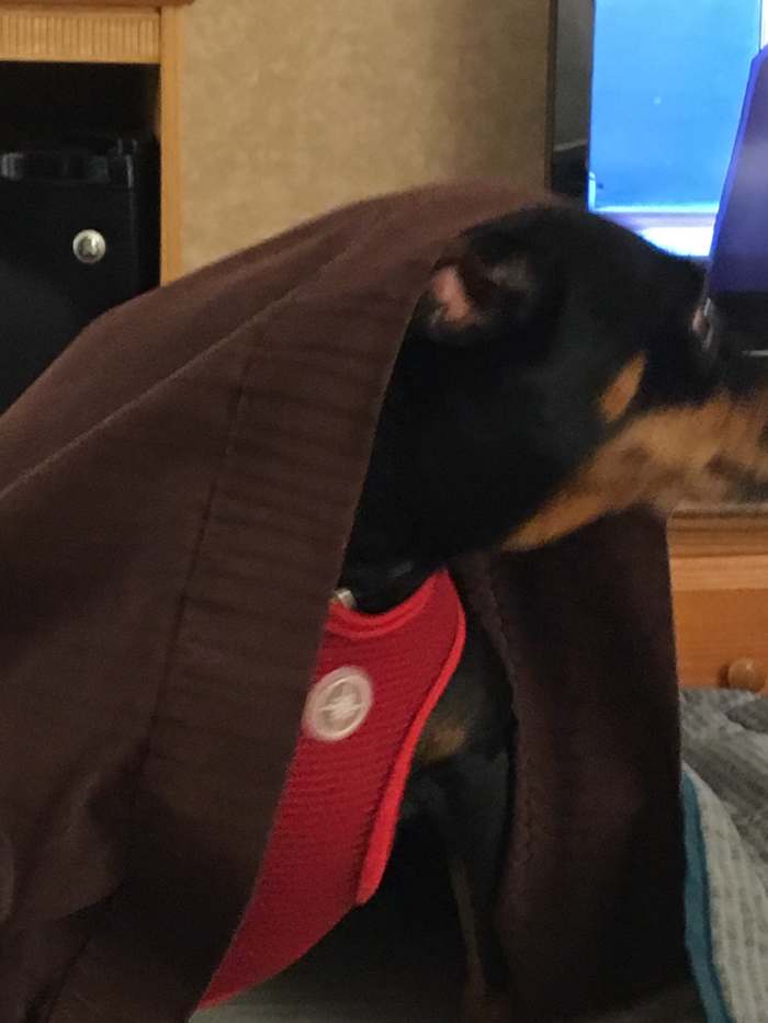 We all got a great night's sleep at the Best Western Moriarty Heritage Inn in Moriarty, New Mexico.