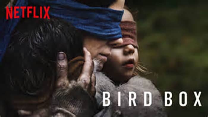 Netflix 'Bird Box' Review - HubPages