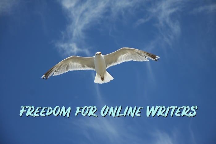HubPages gives writers like me the freedom to make our own hours and to choose topics we care about.