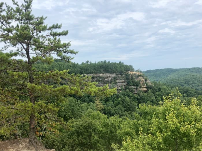 This is one of the many views in the Red River Gorge Geological Area in Kentucky. View from the Natural Bridge area.
